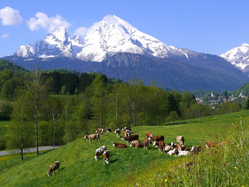 Der Watzmann- Hausberg und das Wahrzeichen vom Berchtesgadener Land